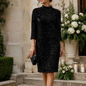 J. McLaughlin Leeza Sequin Dress XL Black Mock Neck 3/4 Sleeve NWT Quiet Luxury